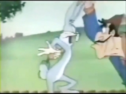 باگز بانی (خرگوش پشمالو)